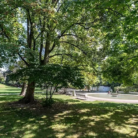 Sunny And Quiet 1br Flat Center - Parkview 5 Zurich